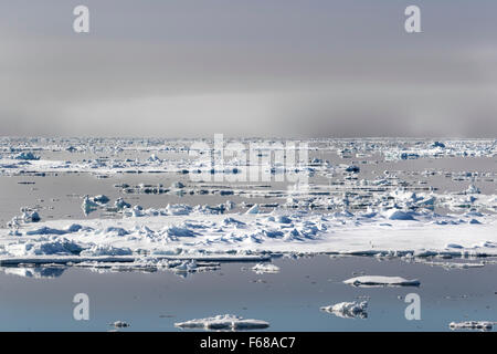 Des blocs de glace, la bordure de la banquise, l'océan Arctique, l'archipel du Svalbard, l'île de Spitsbergen, Svalbard et Jan Mayen, Norvège, Europe Banque D'Images