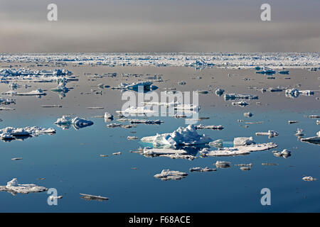 Des blocs de glace, la bordure de la banquise, l'océan Arctique, l'archipel du Svalbard, l'île de Spitsbergen, Svalbard et Jan Mayen, Norvège, Europe Banque D'Images