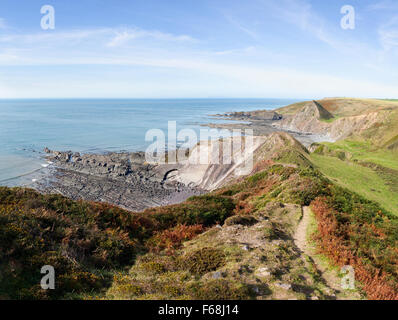 Clifftops près de Hartland Quay dans le Nord du Devon, Royaume-Uni. Banque D'Images