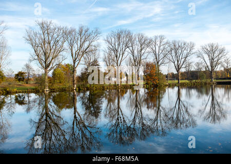 Une rangée d'arbres sans feuilles pendant l'automne dans le Bamerg Hainpark, Allemagne Banque D'Images