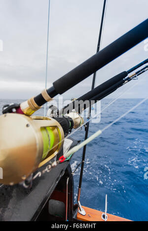 Cannes à pêche en mer profonde reposant sur le haut d'un voile Banque D'Images