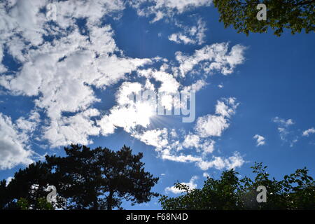 Soleil qui brille à travers les nuages au-dessus de la cime des arbres Banque D'Images