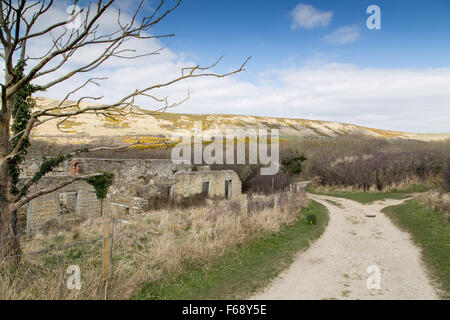 Cottage abandonné Worbarrow Bay sur la plages de Lulworth et près de l'abandon et les apparaux de village fantôme d'Tyneham,Dorset, Royaume-Uni Banque D'Images