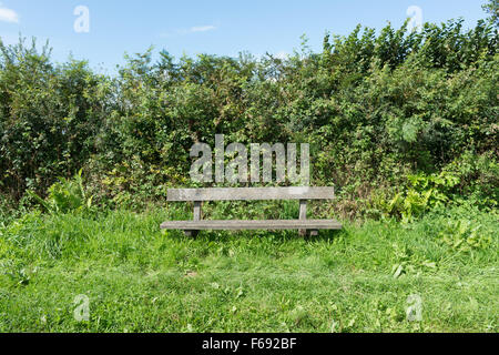 Banc en bordure de vide par hedge sur chemin de campagne dans le Devon Banque D'Images