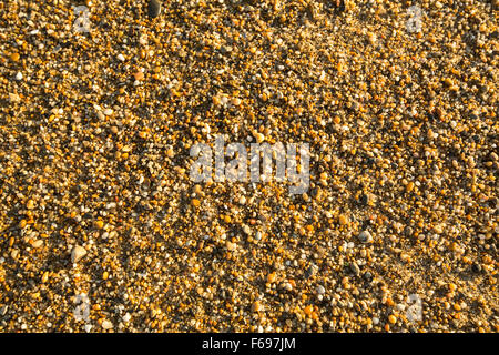 Mer plage sable avec des cailloux de texture. Banque D'Images