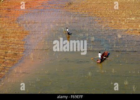 Beijing, Chine, région autonome Zhuang du Guangxi. Nov 7, 2015. Les pêcheurs travaillent dans le lac pour la pêche en Chengbi Baise, Chine du Sud, région autonome Zhuang du Guangxi, le 7 novembre 2015. © Wei Wanzhong/Xinhua/Alamy Live News Banque D'Images