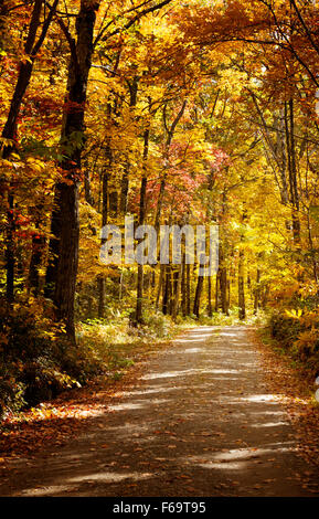 Itinéraire par arbres en automne,les Berkshires, Massachusetts, New England USA Banque D'Images