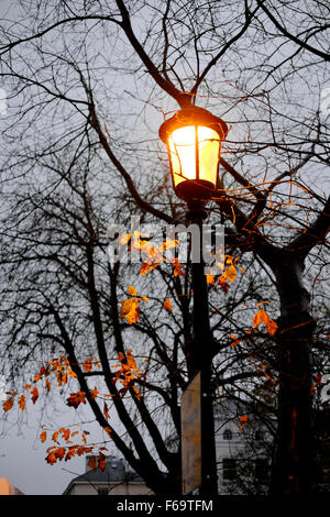 Feuilles de l'automne dernier, s'accrocher à un arbre avant de tomber england uk Banque D'Images