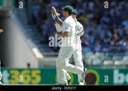 Perth, Australie. 15 Nov, 2015. 2ème jour de Test Cricket en Australie et Nouvelle-Zélande 3. Mitchell Johnson célèbre catching out Kane Williamson. Credit : Action Plus Sport/Alamy Live News Banque D'Images