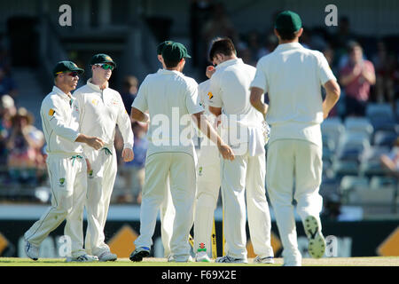 Perth, Australie. 15 Nov, 2015. 2ème jour de Test Cricket en Australie et Nouvelle-Zélande 3. Les joueurs Australiens célèbrent le guichet de Brendon McCullum. Credit : Action Plus Sport/Alamy Live News Banque D'Images