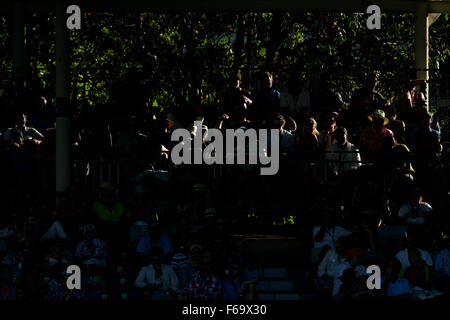 Perth, Australie. 15 Nov, 2015. 2ème jour de Test Cricket en Australie et Nouvelle-Zélande 3. La foule se trouve en fin d'après-midi la lumière. Credit : Action Plus Sport/Alamy Live News Banque D'Images