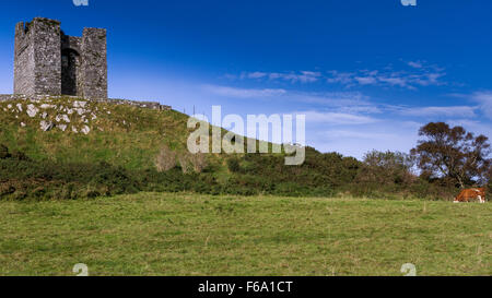 Château et vache, comté de Down, Irlande du Nord Banque D'Images