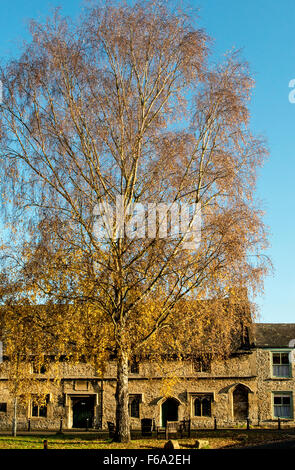 Le Grand Hospice, ou des Hospices de Warwick, sur l'Eglise vert dans Burford, une ville rurale dans le Gloucestershire Banque D'Images