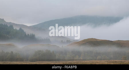 Un matin brumeux sur Beinn Ghuirn près de Crianlarich, Ecosse Banque D'Images