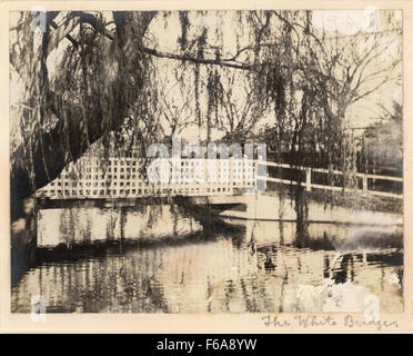 Photographie en noir et blanc de « The White Bridge », prise vers 1935, de la collection Osborne de la RAHS. L'image capture la conception architecturale du pont, mettant en valeur les monuments historiques de Sydney au début du XXe siècle. Banque D'Images