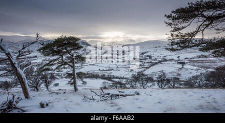 À travers les arbres à la chaîne de montagnes enneigées Helvellyn Banque D'Images