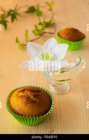 Muffins dans le livre vert porte-cupcake, fleur blanche dans le verre et de feuilles sur un fond de bois, selective focus Banque D'Images