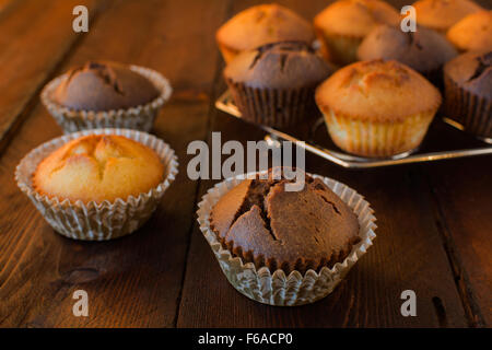 Muffins au chocolat et à la vanille sur un fond de bois foncé, selective focus Banque D'Images