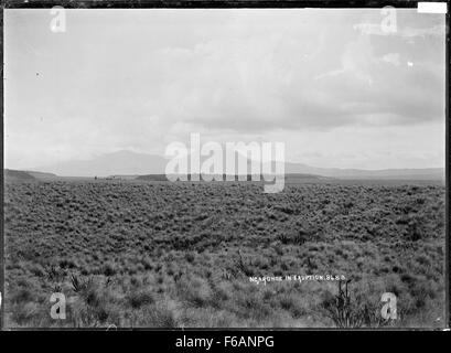 Cette photographie historique montre *le mont Ngauruhoe*, situé dans le parc national de Tongariro en Nouvelle-Zélande, en éruption en 1909. L’éruption faisait partie d’une série d’événements volcaniques qui ont caractérisé le paysage volcanique actif de la région. Banque D'Images