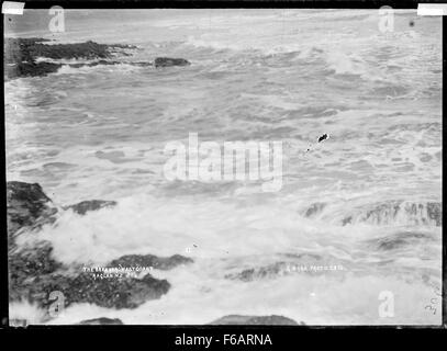 Les disjoncteurs, côte ouest, près de Raglan, 1910 - Photographie prise Banque D'Images