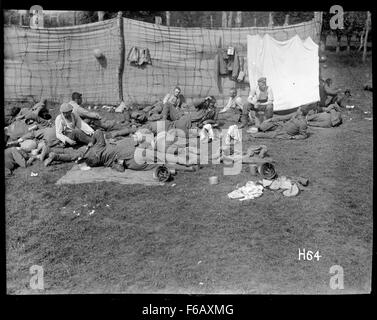 Cette photographie historique montre des prisonniers allemands capturés par des soldats néo-zélandais lors de la bataille de Messines pendant la première Guerre mondiale, illustrant les dures réalités du conflit. Banque D'Images
