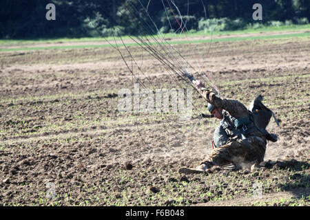 Un parachutiste américain se lève après l'atterrissage sur la zone de chute au cours de 2015 à West Kingston Leapfest, R.I., 1er août 2015. C'est un parachute Leapfest concours international organisé par le 56e commandement, des troupes de la Garde nationale de Rhode Island pour promouvoir la formation technique de haut niveau et l'esprit de corps au sein de la communauté dans l'internationale. (U.S. Photo de l'armée par la CPS. Joseph Cathey/libérés) Banque D'Images