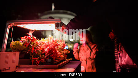 La croissance des plantes de légumes système est perçu au cours de la deuxième nuit de l'astronomie à la Maison Blanche le Lundi, Octobre 19, 2015. Veggie a été installé sur la Station spatiale internationale en mai 2014 et les astronautes récoltés et mangea le premier espace laitues cultivées en août 2015. La deuxième maison blanche nuit d'astronomie a réuni des étudiants, des enseignants, des scientifiques, et les astronautes de la NASA pour une nuit d'observation des étoiles et des activités éducatives liées à l'espace pour promouvoir l'importance de la science, technologie, ingénierie et mathématiques (STIM) de l'éducation. Crédit photo : NASA/Joel Kowsky) Banque D'Images