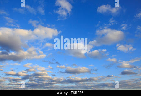 Les cumulus contre un ciel bleu clair. Banque D'Images