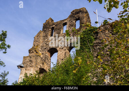 Ruines du château de Grevenburg, Schloss, Traben-Trarbach, sur la Moselle, Rheinland-Pfalz, Allemagne Banque D'Images