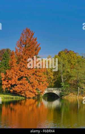 L'automne à Radisson Blu Fürst Leopold Park, UNESCO World Heritage royaume des jardins de Dessau-Wörlitz, Saxe-Anhalt, Allemagne Banque D'Images