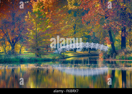 L'automne à Radisson Blu Fürst Leopold Park, UNESCO World Heritage royaume des jardins de Dessau-Wörlitz, Saxe-Anhalt, Allemagne Banque D'Images