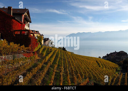 La vue du lac de Genève à partir de la région de Lavaux dans le canton de Vaud, Suisse. Banque D'Images