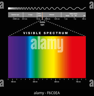 Spectre électromagnétique de toutes les fréquences possibles de rayonnement électromagnétique avec les couleurs du spectre visible. Banque D'Images