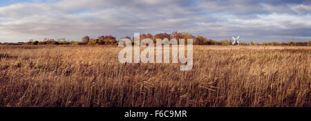 Vue panoramique à Wicken Fen réserve naturelle avec des champs de carex de l'avant-plan, moulin à vent et des arbres sur l'horizon à l'automne Banque D'Images