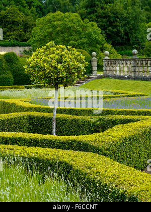 Vue sur le jardin espagnol à Newstead Abbey près de Ravenshead Dorset England UK ancienne demeure de Lord Byron Banque D'Images