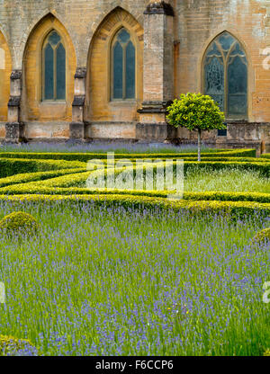 Vue sur le jardin espagnol à Newstead Abbey près de Ravenshead Dorset England UK ancienne demeure de Lord Byron Banque D'Images