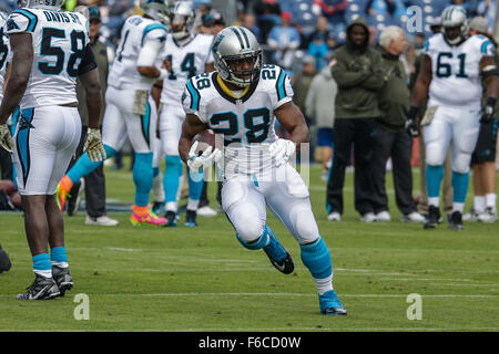 Nashville, Tennessee, USA. 15 Nov, 2015. Caroline panthère d'utiliser de nouveau Jonathan Stewart # 28 se réchauffe dans un match contre les Tennessee Titans le 15 novembre 2015, chez Nissan Stadium à Nashville, Tennessee. Les Panthère défait les Titans 27-10. Margaret Bowles/CSM/Alamy Live News Banque D'Images