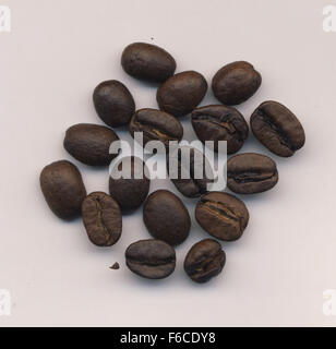 Les grains de café sur un fond clair Banque D'Images