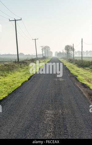 Une route droite dans le Cambridgeshire Fens bordée de poteaux télégraphiques Banque D'Images