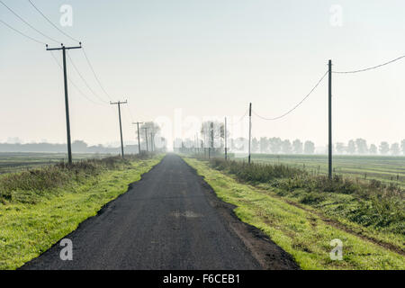 Une route droite dans le Cambridgeshire Fens bordée de poteaux télégraphiques Banque D'Images