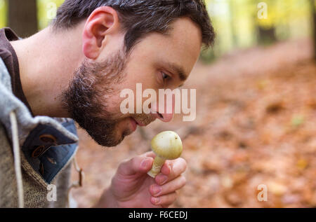 Homme cueillette de champignons Banque D'Images