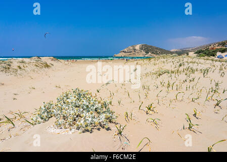 La plage de sable doré à Prasonisi sur l'île de Rhodes Dodécanèse Grèce Europe Banque D'Images