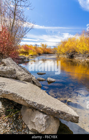 Cherry Creek qui traverse le magnifique paysage d'automne de Cherry Creek Nature préserver à la périphérie de Bozeman, Montana Banque D'Images