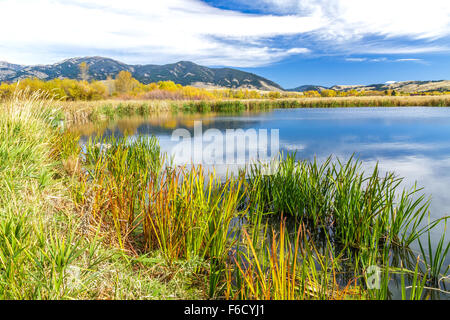 Les champs à l'automne du réservoir au pied de montagnes Bridger dans Cherry Creek Nature préserver à la périphérie de Bozeman, Montana Banque D'Images