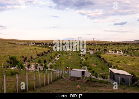 Vue du coucher de soleil d'un cimetière d'animaux situé dans la ville de Brasov, en Transylvanie, Roumanie Banque D'Images