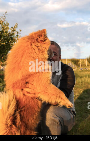 Hunedoara, Roumanie - 21 juin 2014 : l'homme aux cheveux sombres avec une moustache avec Chow Chow chien rougeâtre en Hunedoara en plein air Banque D'Images