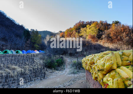 Vue sur Grande Muraille à partir d'un champ de l'agriculteur dans la section Jinshanling où l'on peut camper pour la nuit. Banque D'Images