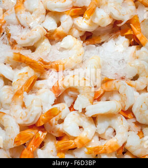 Crevettes fraîches pelées sur la glace for sale at market Banque D'Images