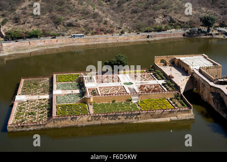 Kesar kyari bagh, fort amber, Jaipur, Rajasthan, Inde, Asie Banque D'Images