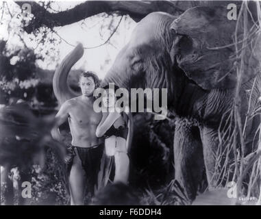 Publié : 16 avr 1934 - Film Original Title : Tarzan et sa compagne. Sur la photo : Johnny Weissmuller, Maureen O'SULLIVAN. Banque D'Images